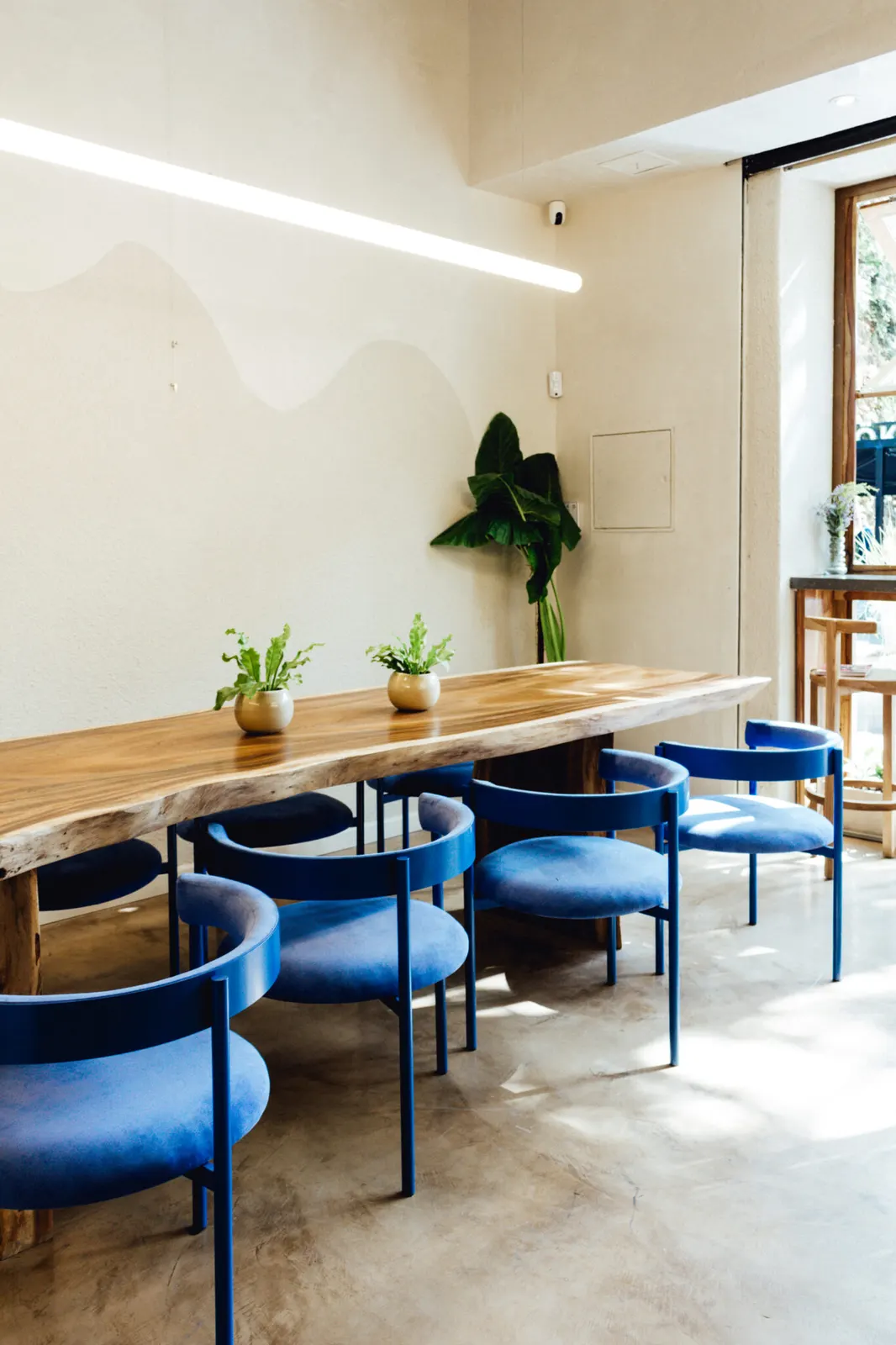 Surry Hills | Brunch Palermo in Buenos Aires, Argentina