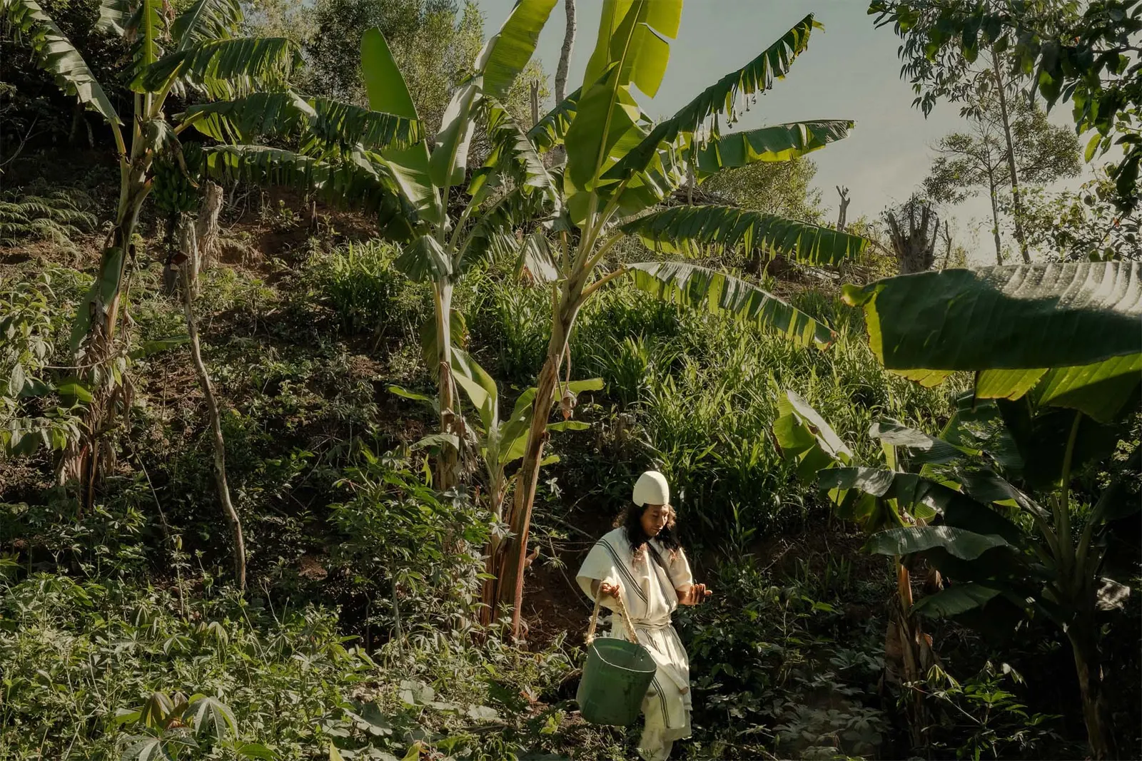 Tropicalia Coffee in Bogota, Colombia