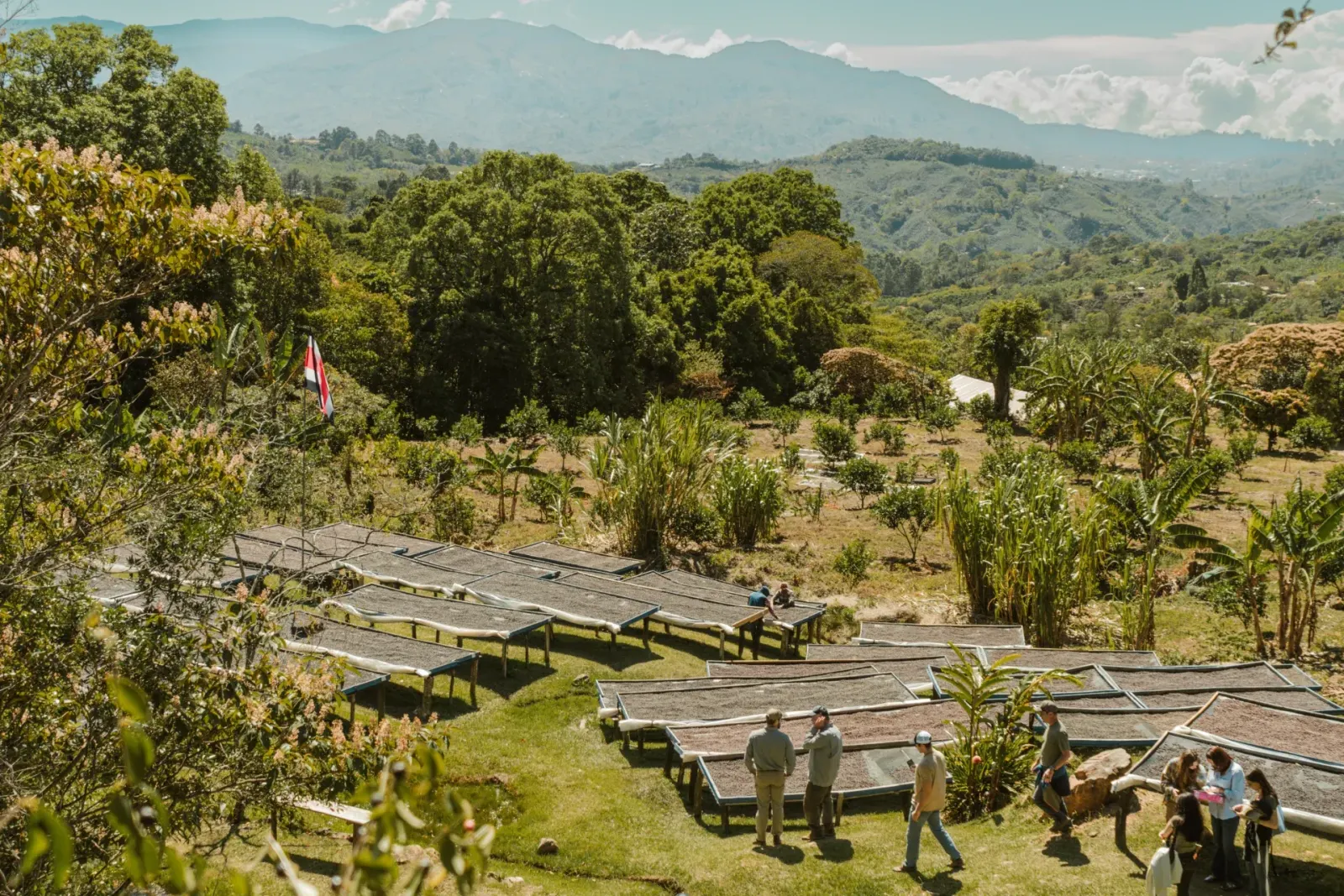 Buena Vida Coffee Roasters in San José, Costa Rica