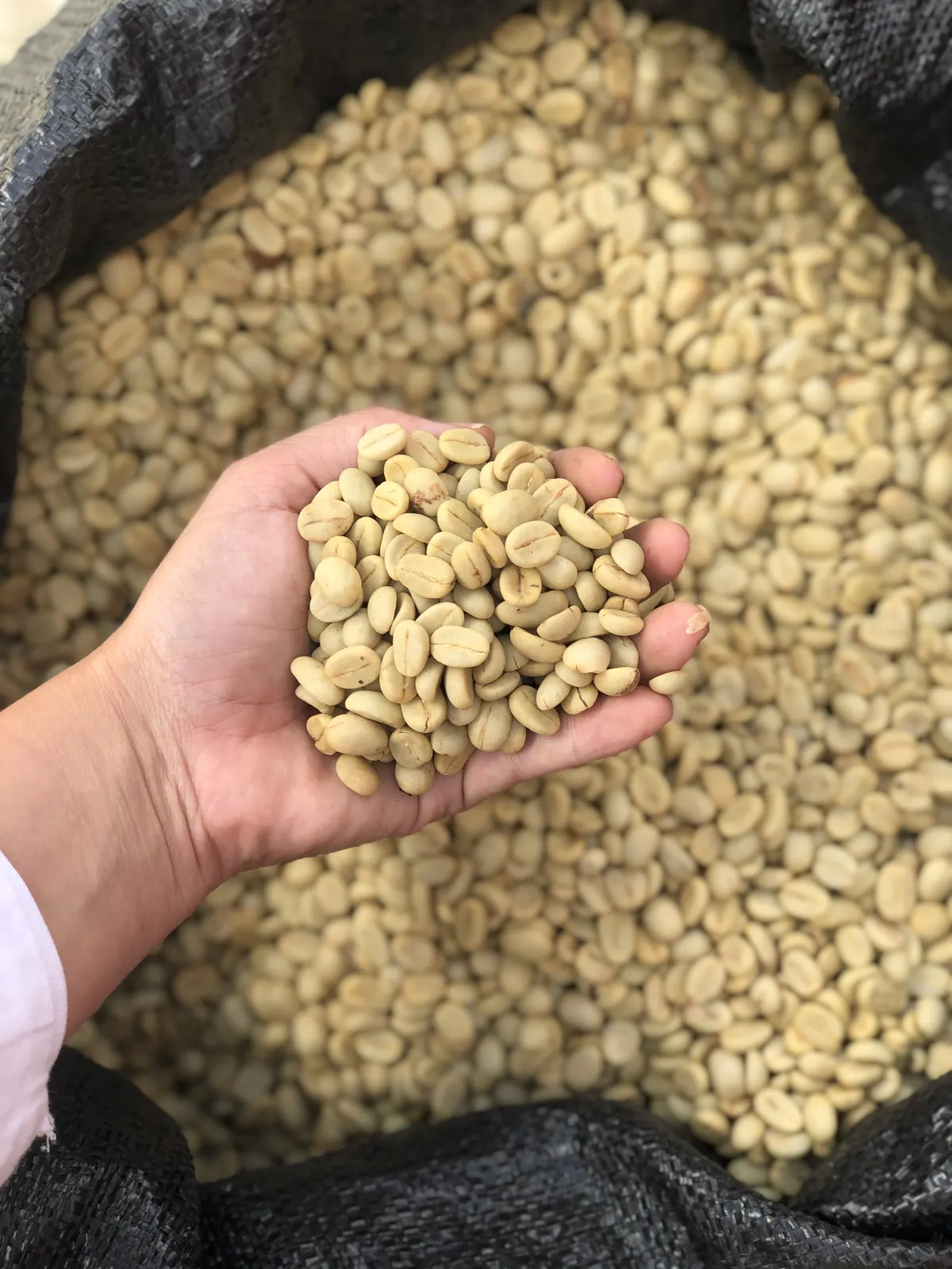 Calcalí Coffee - La Catalina in Santiago Oeste, Dominican Republic