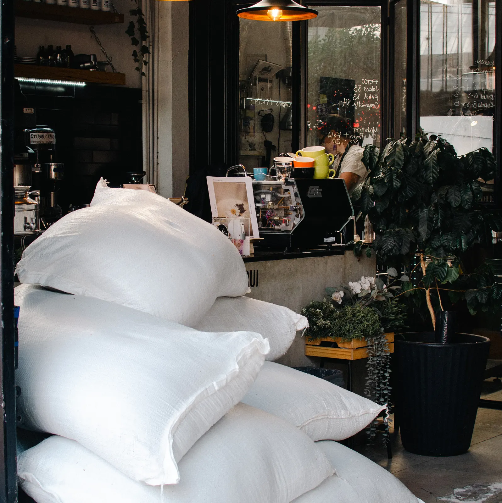 Almanegra Café in Mexico City, Mexico