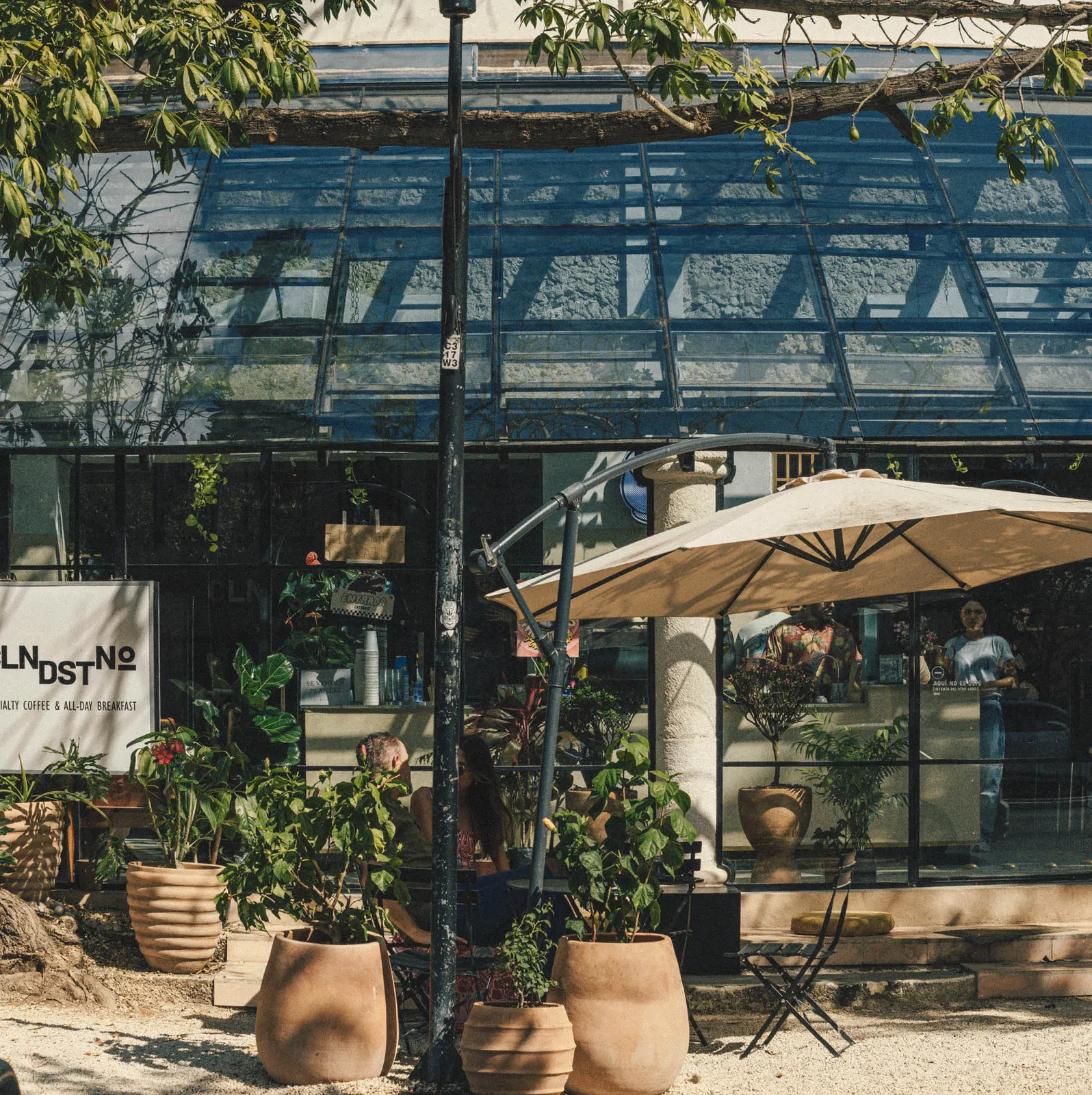 Clandestino Café Mérida Montejo: Specialty Coffee & All-Day Breakfast in Mérida, Mexico
