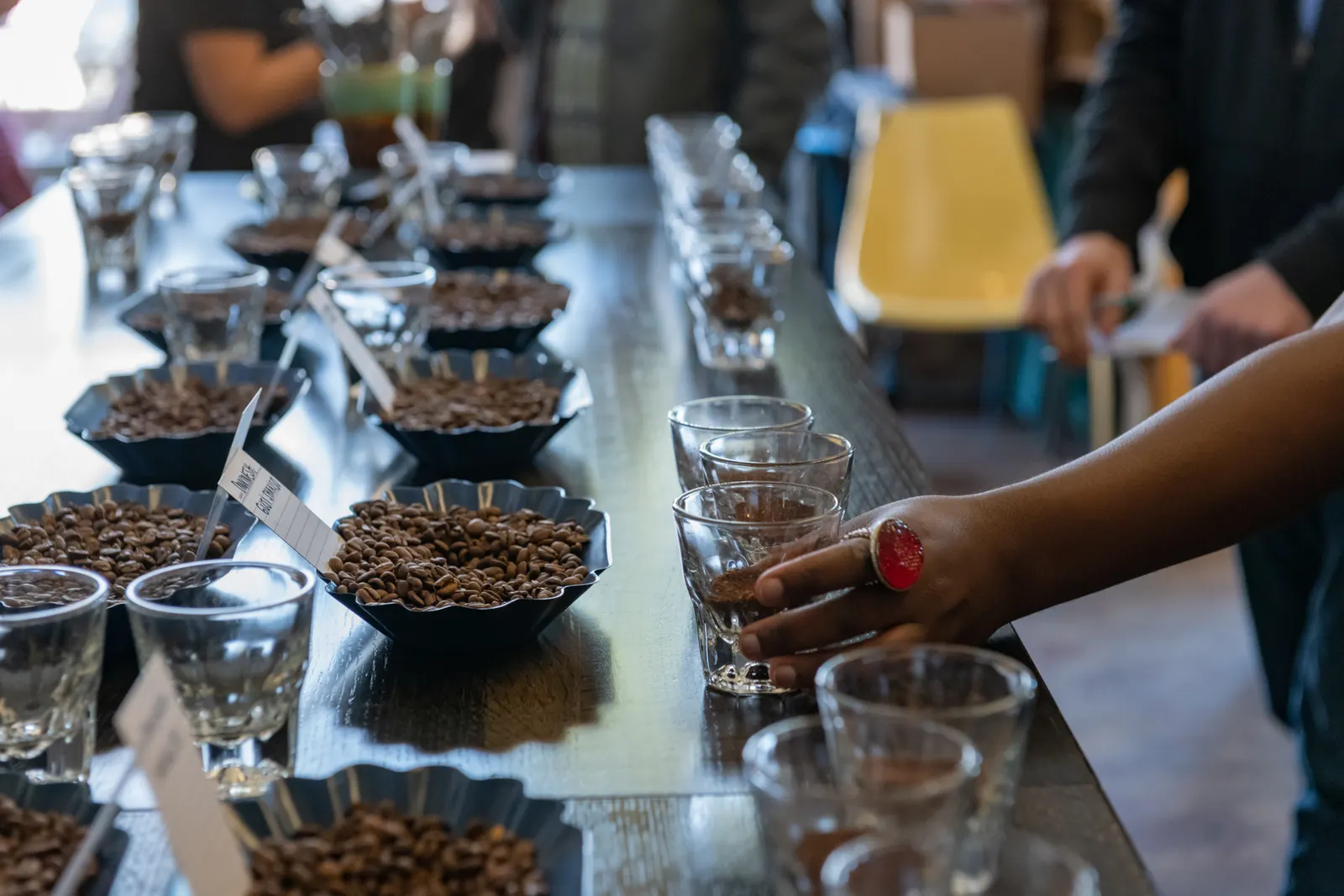Little Waves Coffee Roasters in Durham, United States
