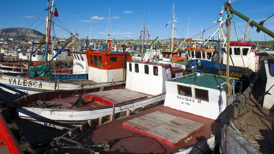 View of Puerto Natales