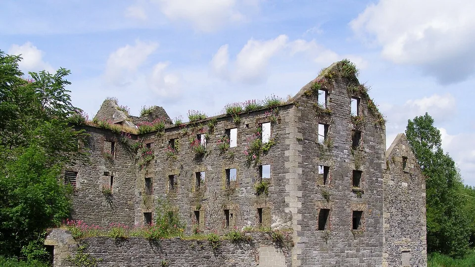 View of Carlow
